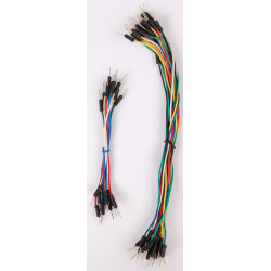 
       M21-5000 Makieta szkolna - elektronika cyfrowa
     