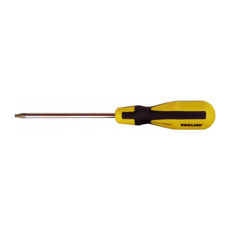 Wkrętak Torx SECURITY T20x100  Proline